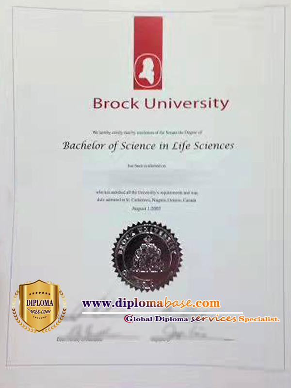 Fake degree from Brock University?