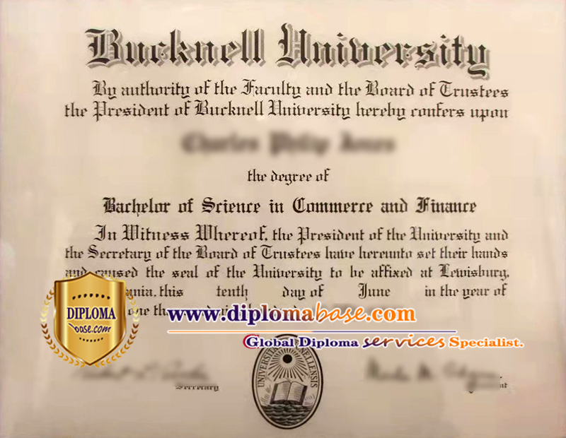 Quick order fake Bucknell bachelor's degree?