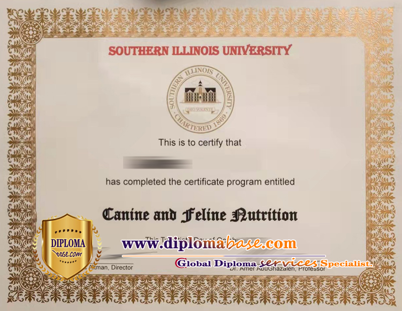 Perfect copy of a fake degree from Southern Illinois University.