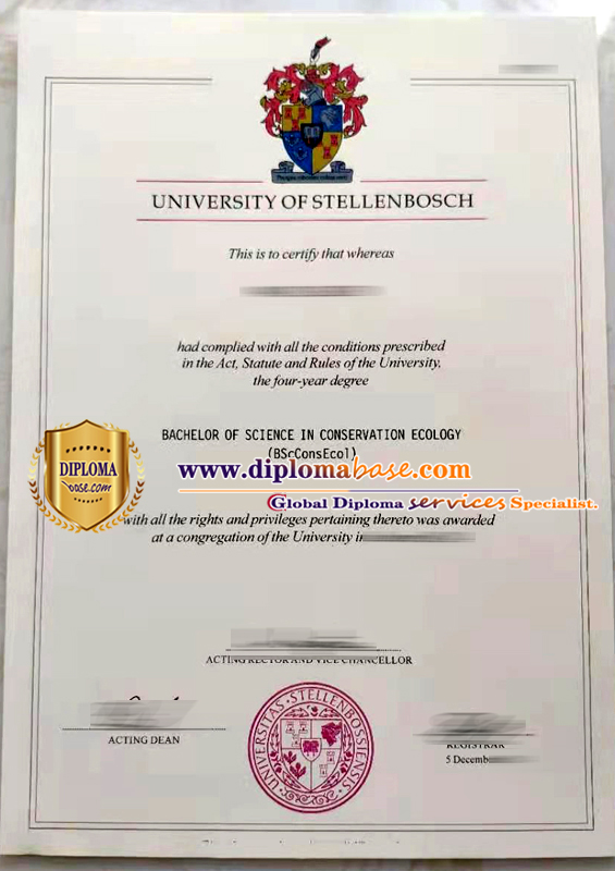 Fast track to a fake diploma from Stellenbosch University.