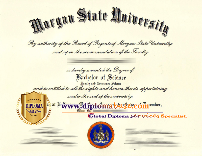 How much money can you get a perfectly designed fake degree from Morgan State.