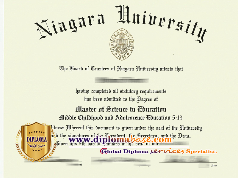 How about a fake degree from Niagara University?