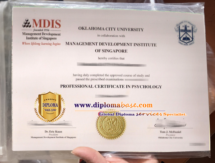 How to fake a Singapore Institute of Management Development Degree Certificate?